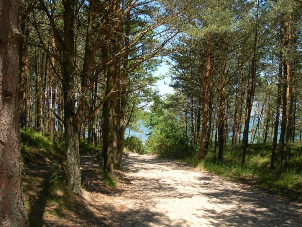 Vila Osrodek Wypoczynkowy Amber Kąty Rybackie Exteriér fotografie